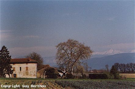 Farm down the Vercors