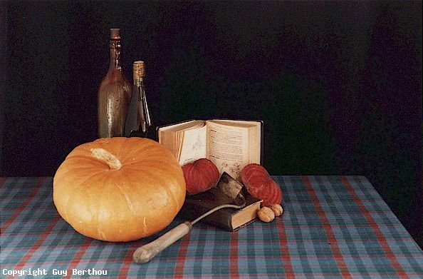 Still life with Hokkaido pumpkin