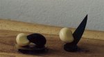 Yin & Yang. Corozo, ébène, socle amourette, hauteur de 8 à 15 cm